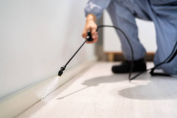Licensed Pest Control service in Hokendauqua, PA - Nex Pest Control