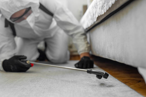 Professional Pest Control technician working in Hokendauqua, PA