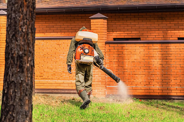 Trusted Emergency Pest Control service in Hokendauqua, PA - Nex Pest Control